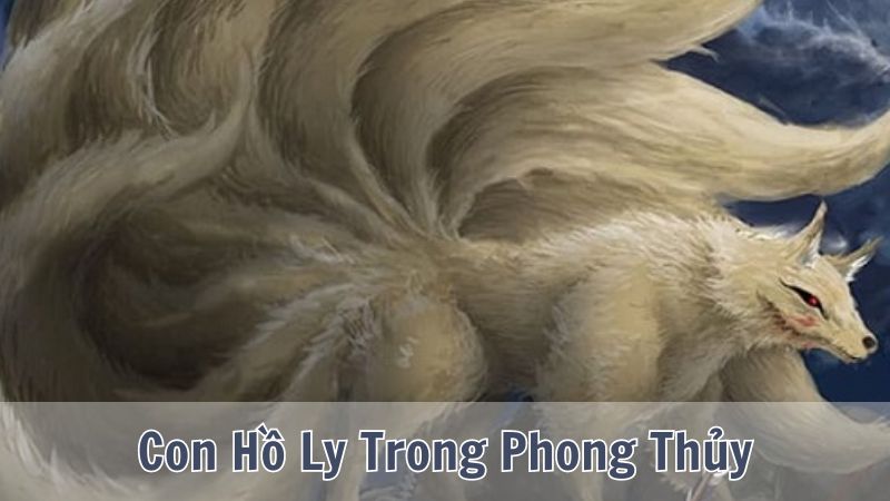 Con Hồ Ly Trong Phong Thủy