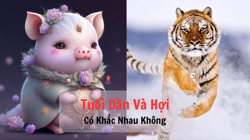 Tuổi Dần Và Hợi Có Khắc Nhau Không