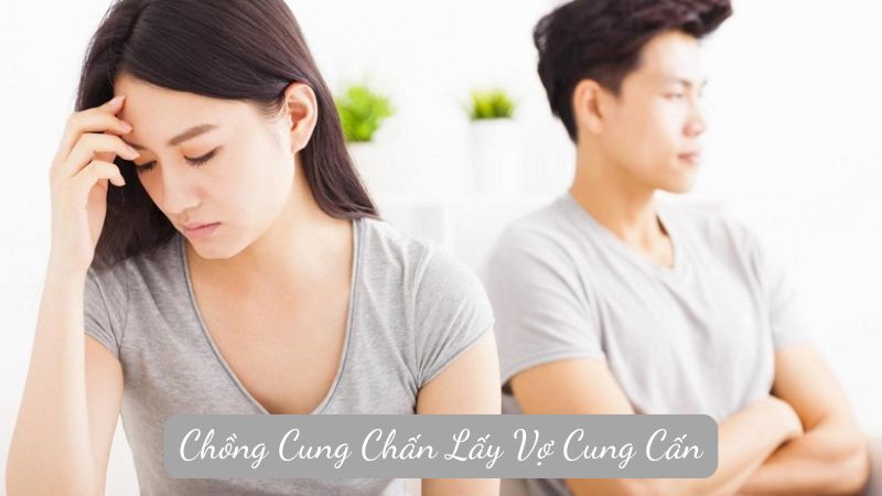 Chồng Cung Chấn Lấy Vợ Cung Cấn