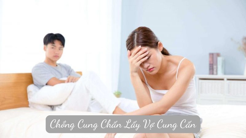 Chồng Cung Chấn Lấy Vợ Cung Cấn