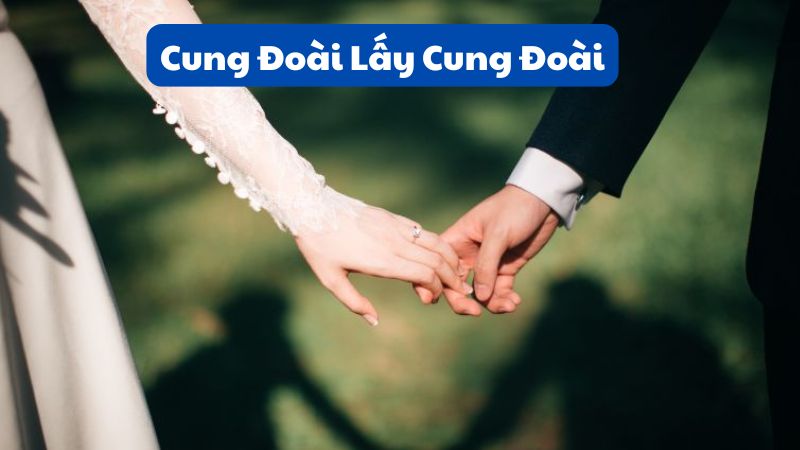 Cung Đoài Lấy Cung Đoài