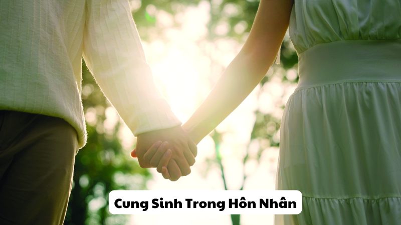 Cung Sinh Trong Hôn Nhân