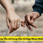 Cung Tốn và Cung Cấn Có Hợp Nhau Không