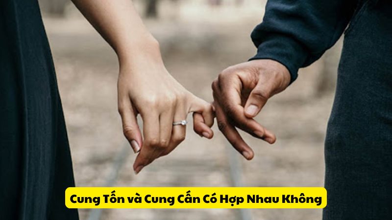 Cung Tốn và Cung Cấn Có Hợp Nhau Không