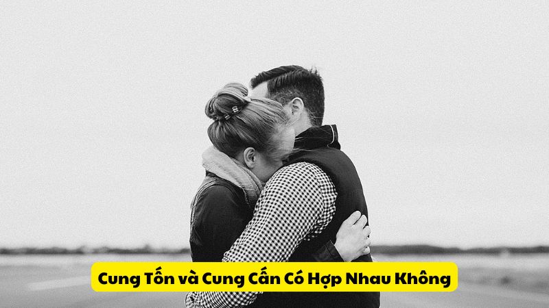 Cung Tốn và Cung Cấn Có Hợp Nhau Không