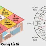 Hạn Cửu Cung Là Gì